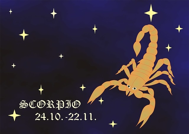 Single horoskop skorpion frau